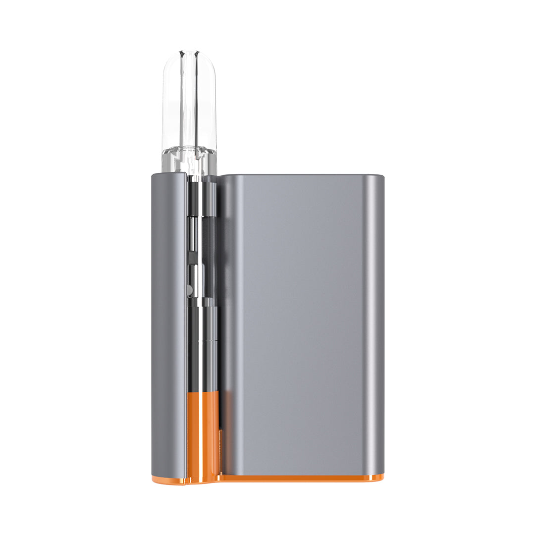 CCell Palm