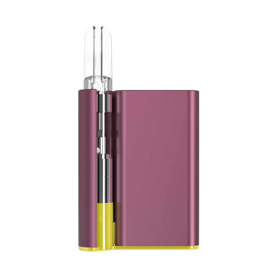 CCell Palm