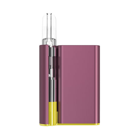 CCell Palm