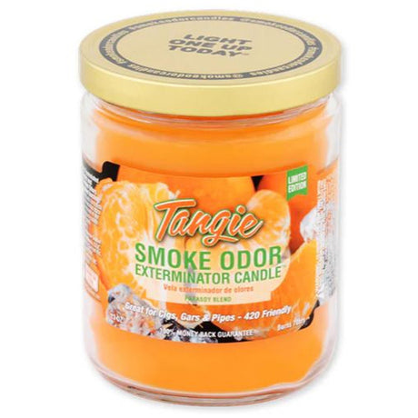 Smoke Odor Exterminator 13oz Candle