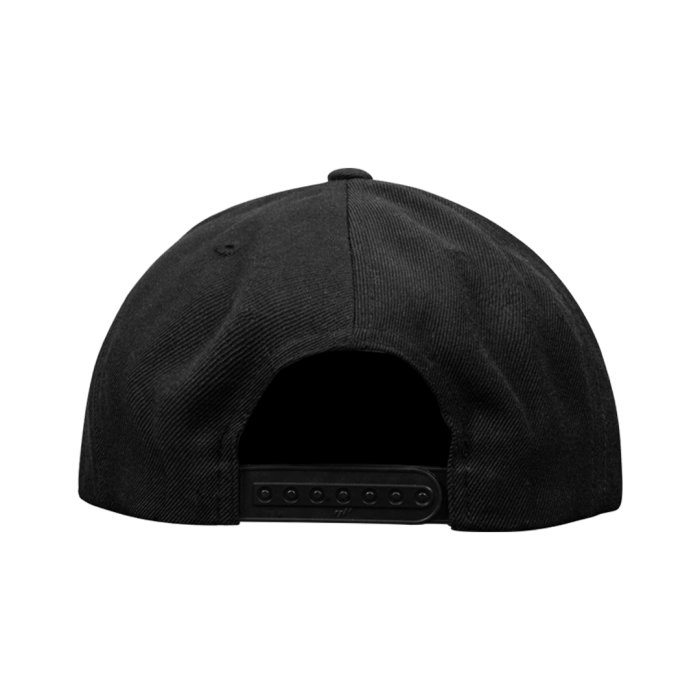 Storz & Bickel Black Snapback